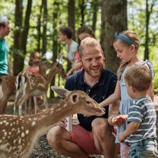 Wildparadies Tripsdrill