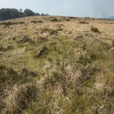 Cairn to the west of Tristis Rock, Burford Down