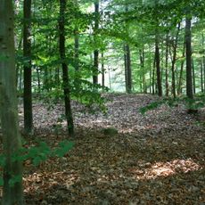 LSG-Balberger Hoehenruecken mit den Waldgebieten Uedemer Hochwald und Tueschenwald