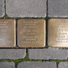 Julius Wolf