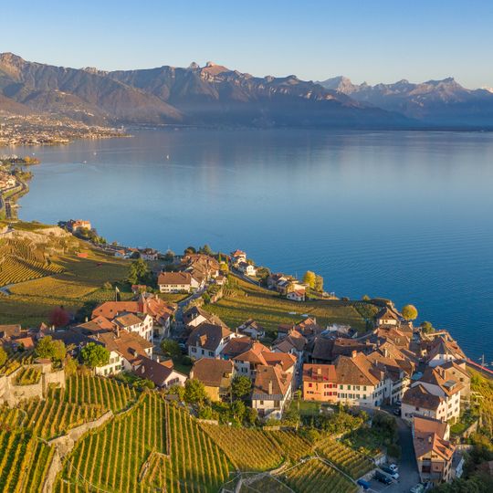 Lavaux