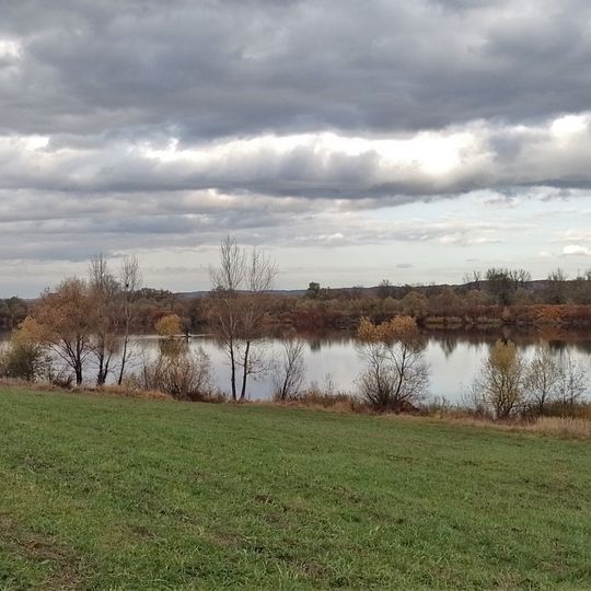 Polder Buków