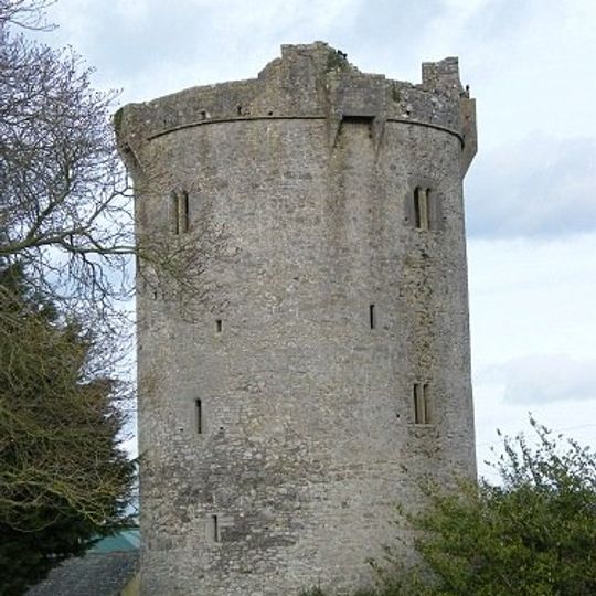 Ballynahow Castle
