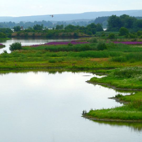 Vogelfreistätte Flachwasser- und Inselzone im Altmühlsee