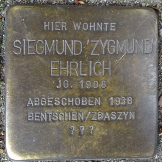Stolperstein en memoria de Siegmund ‚Zygmund‘ Ehrlich