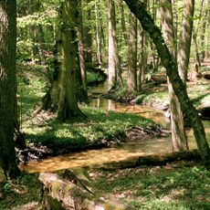 Las Piwnicki Nature Reserve