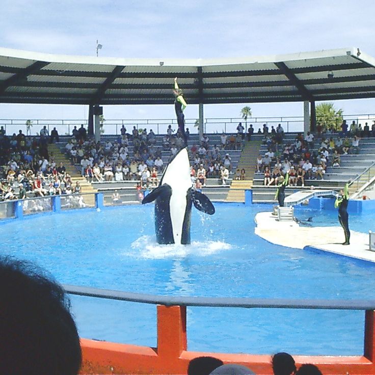 Miami Seaquarium