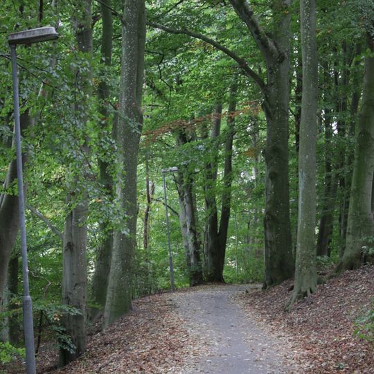 Skogsbacken med Väladalen
