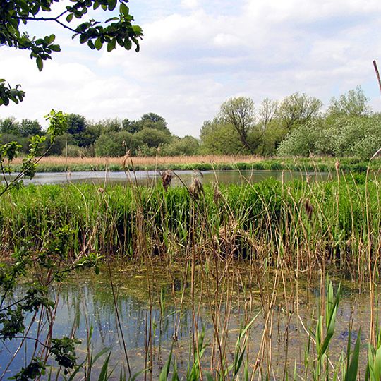 Thatcham Reed Beds