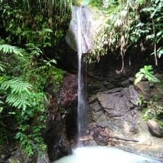 Cozy Falls