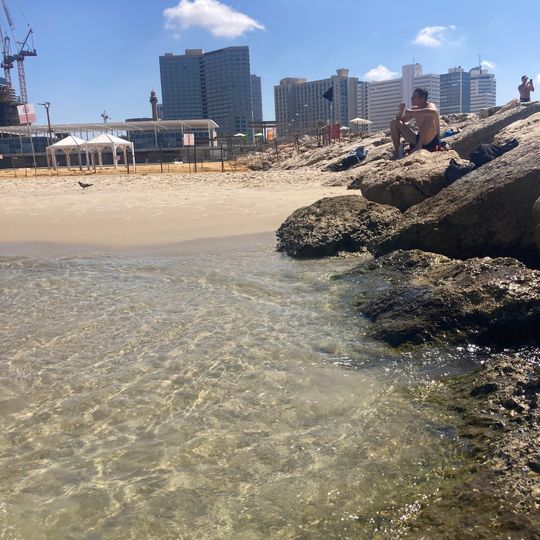 Beach Club TLV