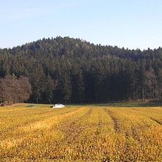 Burgstall Appertshausen