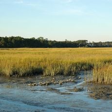 Huntington Beach State Park