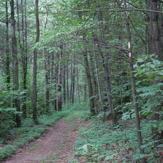 Joseph E. Ibberson Conservation Area