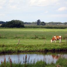 Blockland - Burgdammer Wiesen