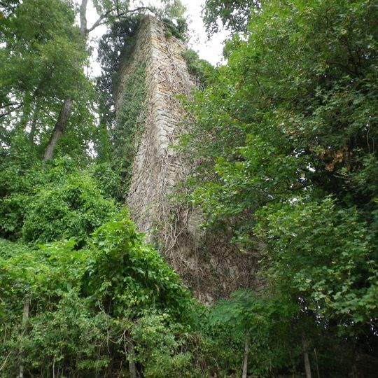 Ruines du château de Montagny