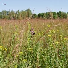 Jay C. Hormel Nature Center
