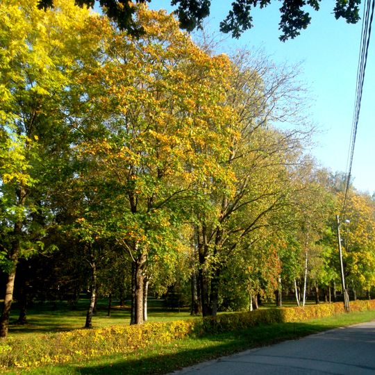 Детский парк