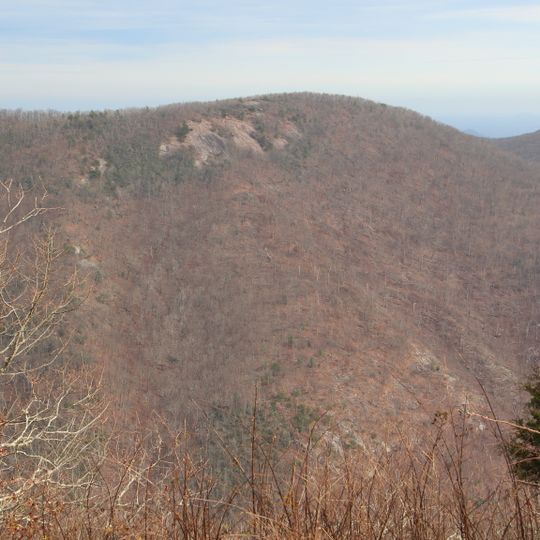 Wildcat Mountain