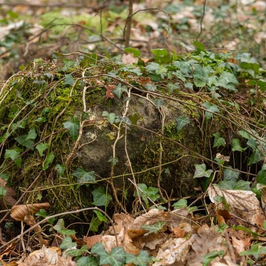 Grenzstein Fürther Stadtwald in Fürth