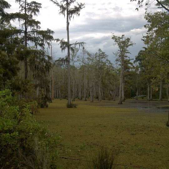 Sam Houston Jones State Park