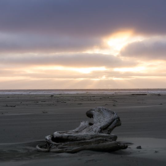 Grayland Beach State Park