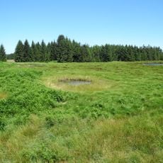 Naturschutzgebiet Bruch an der Eichkanzel im Reinhardswald