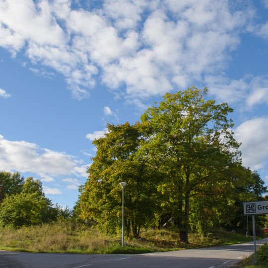 Nr 4 och 6: Kungshögarna