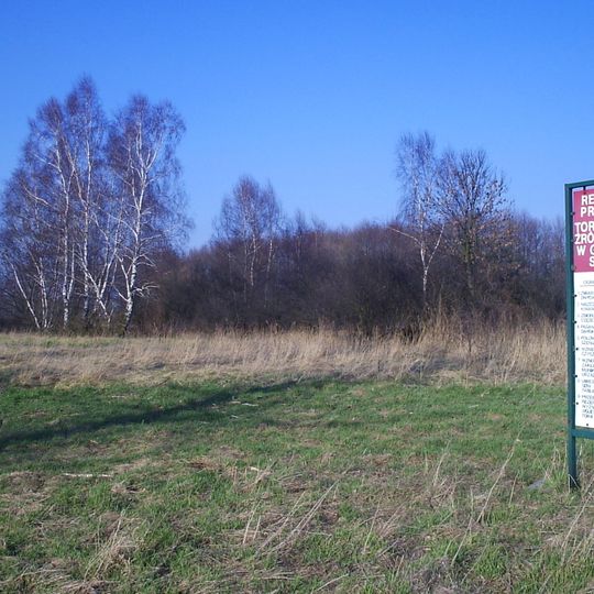 Nature reserve Torfowisko źródliskowe w Gostyniu Starym