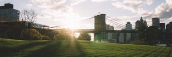 Brooklyn Bridge Park Profile Cover