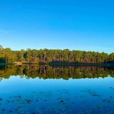 Gordonia-Alatamaha State Park