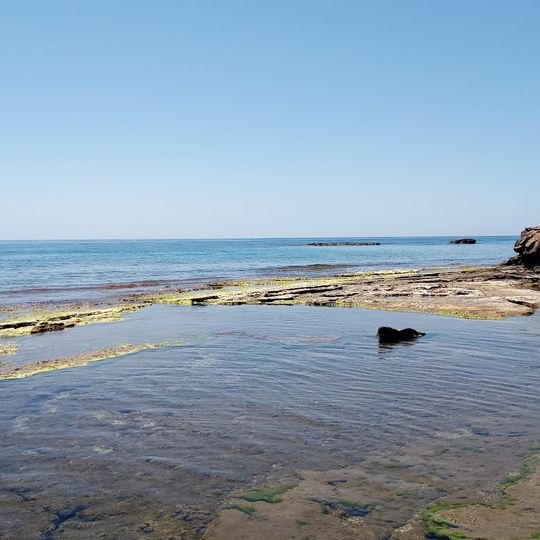 Playa Pozo del Esparto / La Escribanía