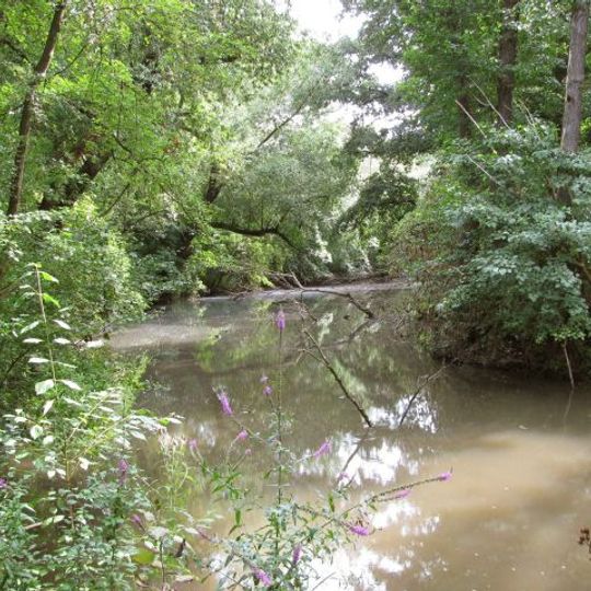 Vogelschutzgehölz Hausener Auwald
