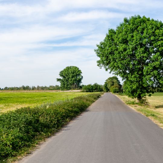 Orsoyer Rheinbogen und Eversael