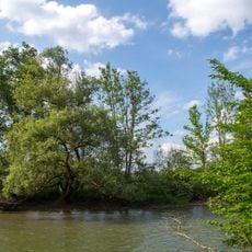 Amperauen mit Leitenwälder zwischen Fürstenfeldbruck und Schöngeising