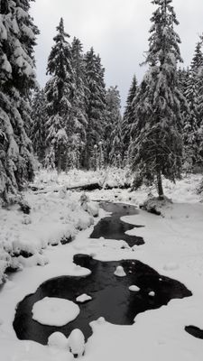 Winter 1