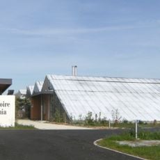 Conservatorio de Begonias