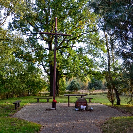 Choleric cemetery in Turek