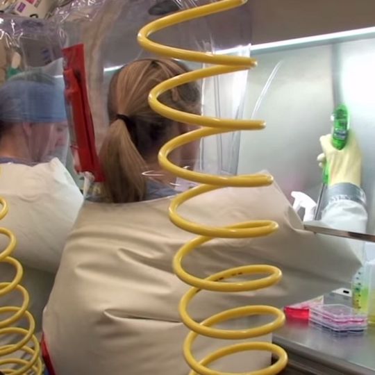 National Institute of Allergy and Infectious Diseases