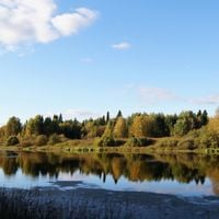 Kirovo-Chepetsky District