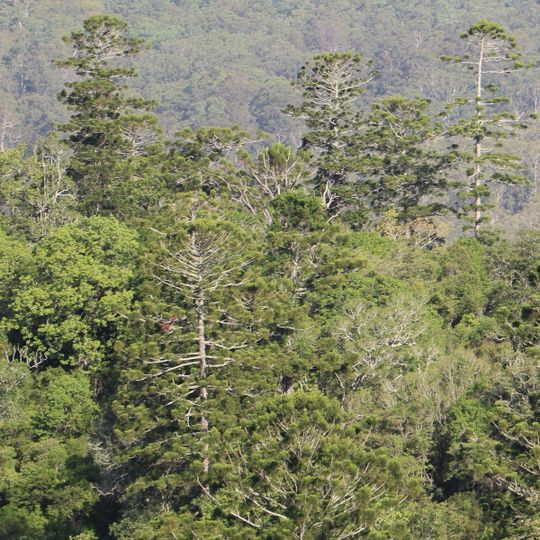 Mallanganee-Nationalpark