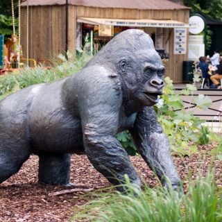 Statue of Guy the gorilla