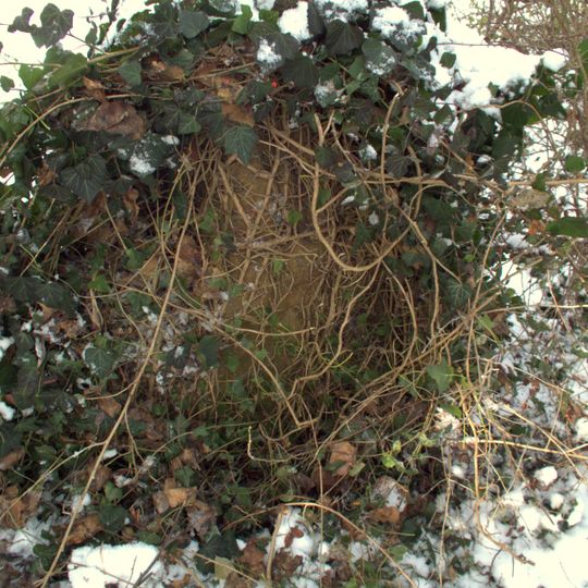 Steinkreuz Neumarkt Altdorfer Straße