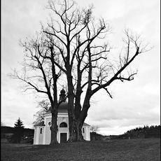 Lípa u kapličky v Obytcích