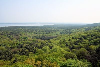 Widok 3