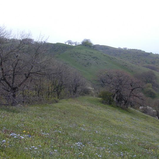Mount Didgori