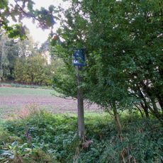 Obrázek v Sudkově vedle úvozu