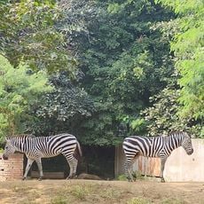 Sanjay Gandhi Biological Park