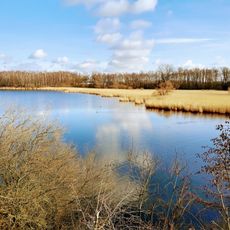 Marais d'Harchies