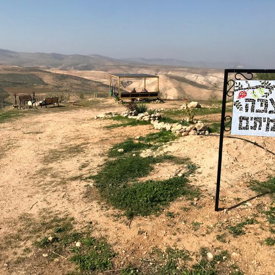 מצפה עמיתים